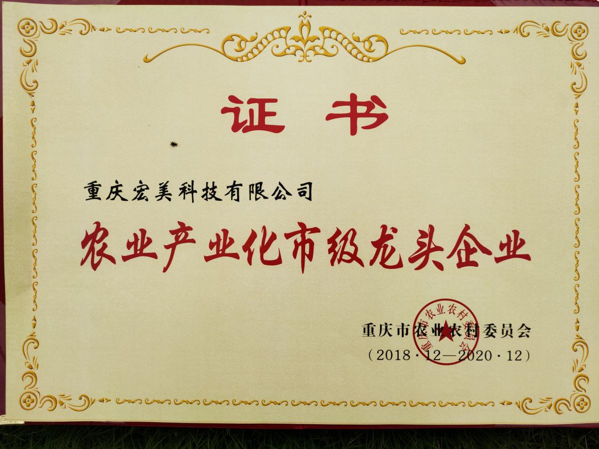 2018龍頭企業(yè)